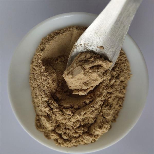 Pure Natural Nutrition Supplement Immune Anti-Fatigue Catharanthus Roseus Extract