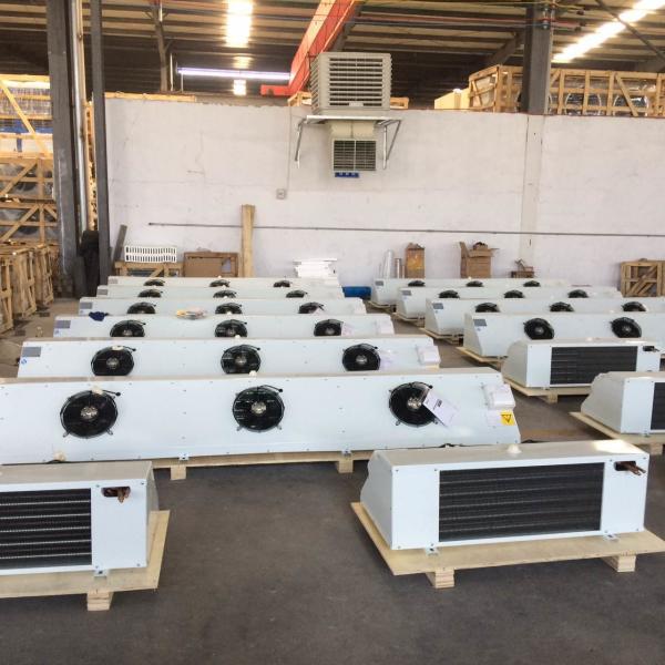 Ceiling Mount Electric Refrigeration Evaporator Mini Cooler for Vegetable Cold Storage