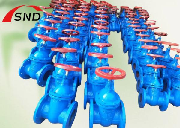 DN65 PN16 Rising Stem Flange Gate Valve HT200 for Piping Systems