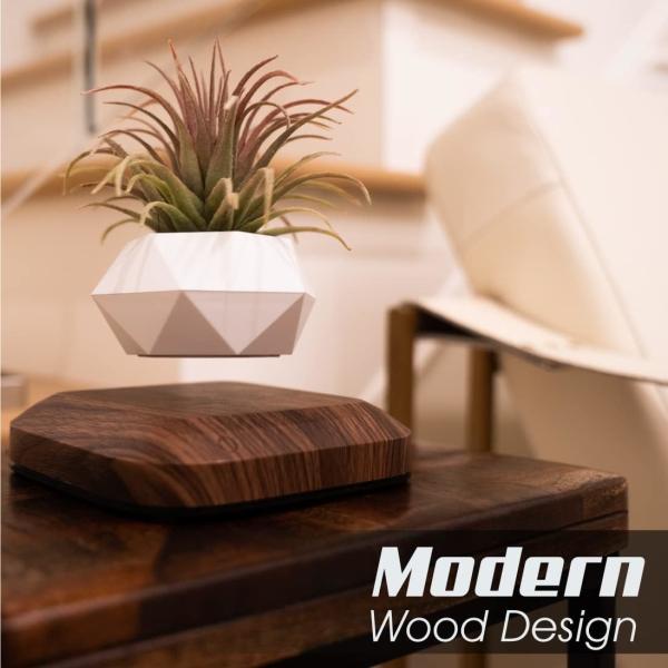 OEM/ODM Floating Levitating Plant Pot Holder For Air Plants Room Decor Tech Toys