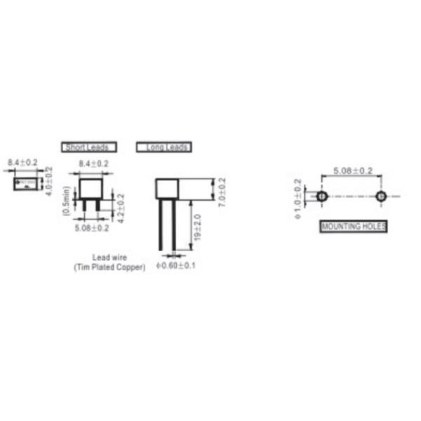 NTS1125A 300V 1.25A Мини радиальный свинцовый предохранитель