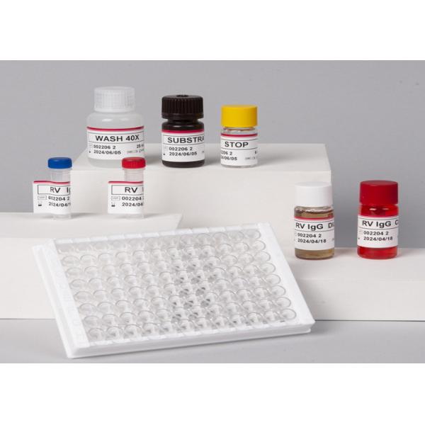 Human Interleukin 6 RUO Test Kit IL-6B-Cell Stimulatory Factor 2 BSF-2 IFNB2