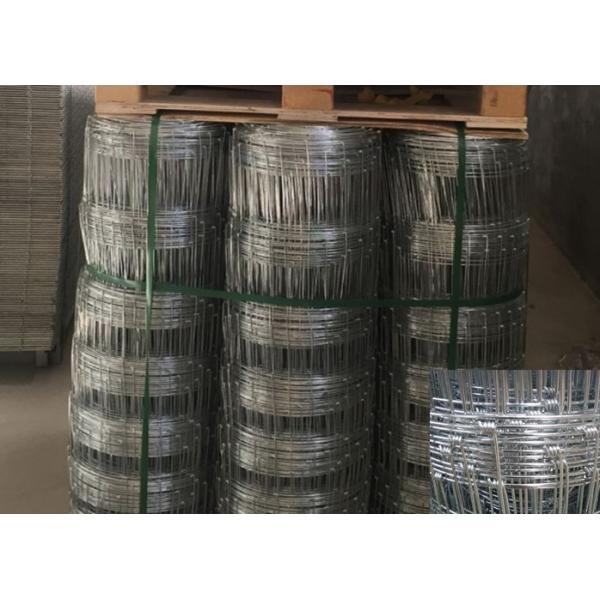 Hot Dipped Galvanized Field Fence , Hinge Joint Wire Fencing Bright Color