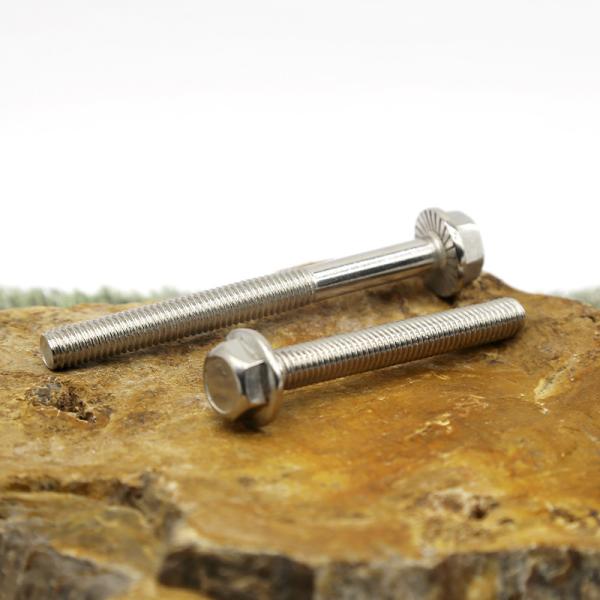 Metric Anti Slip Bolt Screws Customization Stainless Steel Flange Face Screws