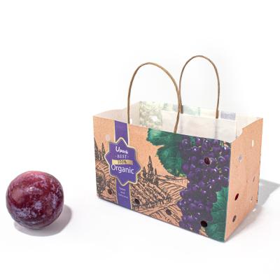 O saco de Logo Printed Kraft Food Paper, o punho de papel da torção ensaca para o fruto