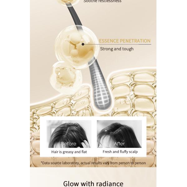 Shampoing croissance capillaire marque de distributeur à base de plantes, marque blanche