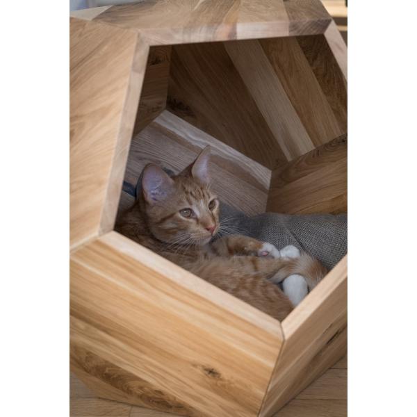 Household Storage Container Cat Bed Cave in Modern Design with Solid Wood and Side Table