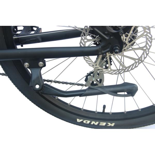 350w Portable Folding Electric Bike Hub Motor E Bike With Removable Battery 36V 10Ah