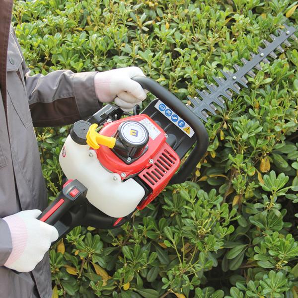 22.5cc gasoline petrol single blade hedge trimmer