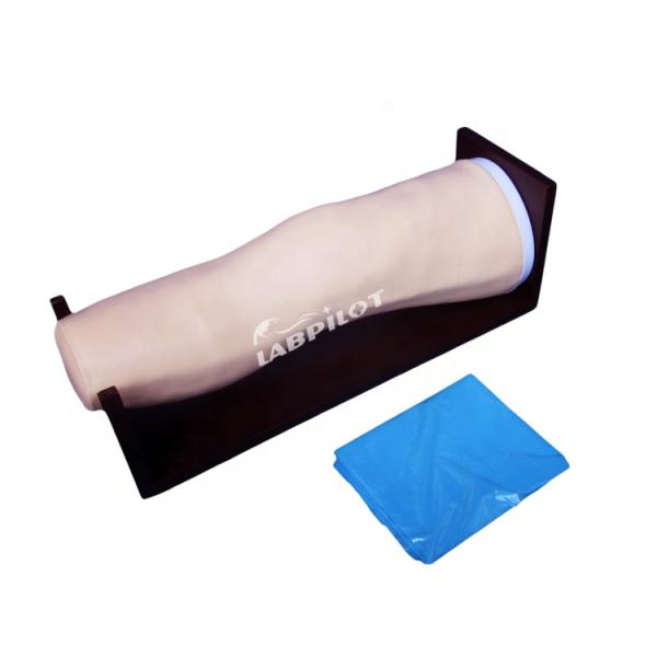 Advanced PVC Knee Joint Cavity Puncture and Articular Injection Training Simulator