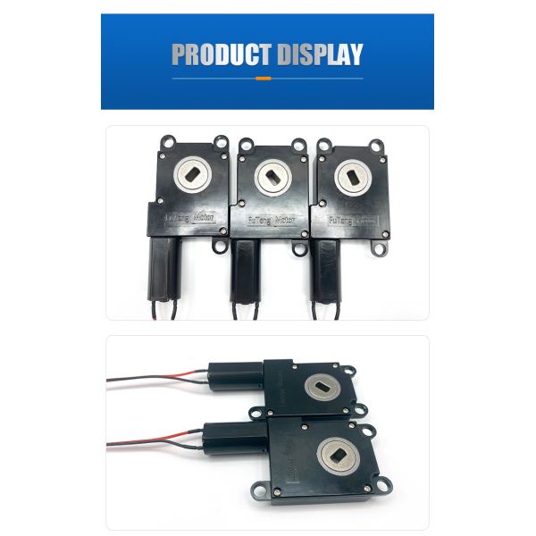Wholesale FT-63SGM190 Electrophoresis Micro Reducer Motor 6v 12v 24v 50rpm 2-200rpm 200 Rpm DC Worm Gear Motor CE ROHS
