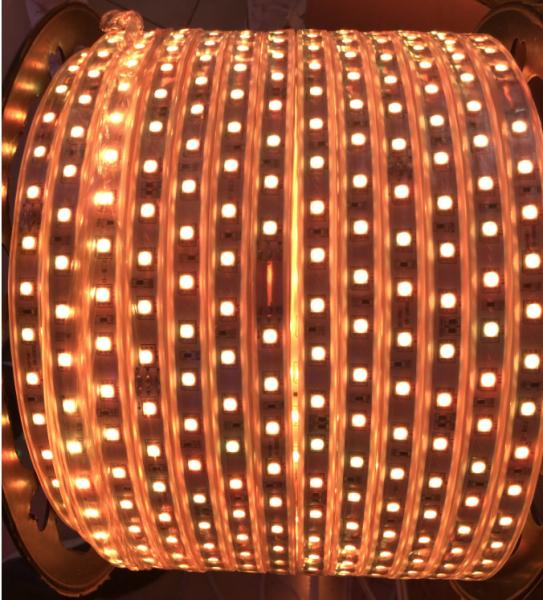 Decoração exterior da paisagem do rolo de SMD3014 IP65 Flex Led Strip Light 100m/