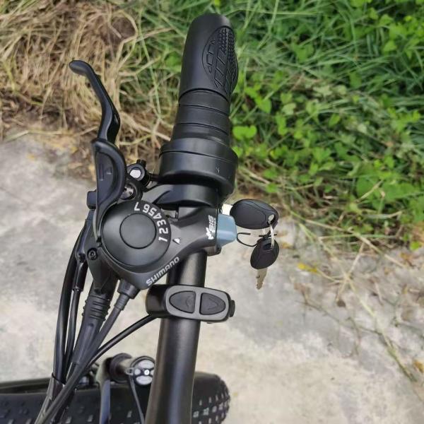 500W Brushless Motor Fat Tire Electric Mountain Bike 48V/10.4AH Lithium Battery
