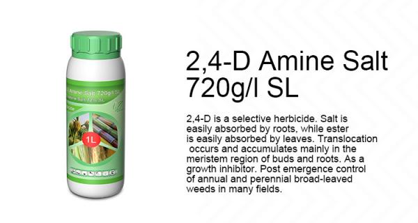 Cas 94-75-7 2-4-D Amine salt Selective Herbicides For Onions , Weeds