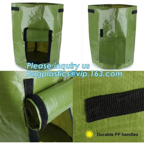 100% Biodegradable мульчирует, биологические процессы ухудшения, коробка плода, цветочный горшок, ткань джута, культивируя сумку, сеть джута, сеть