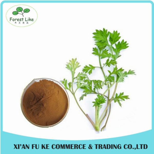 Chinese Herb Extract Mugwort Leaf Extract 5:1- 20:1