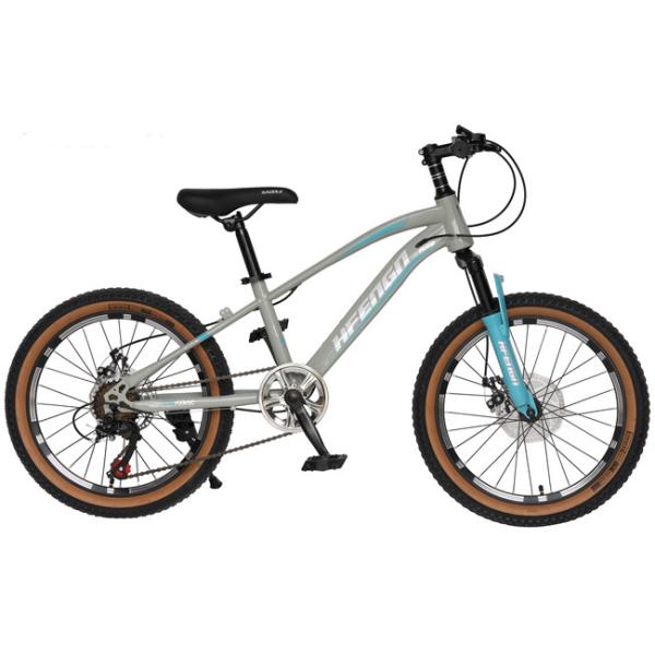 20inch Lightweight Mountain Bike Junior MTB Bike With Carrier 7 Gear