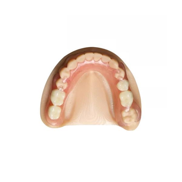 OEM Zirconia Dental Crown Removable Denture Professional Dental Laboratory