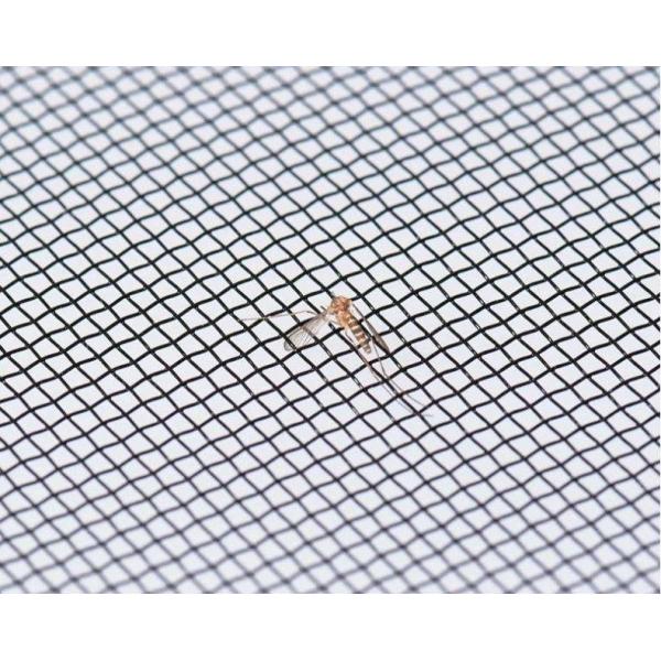Factory Cheap Reinforcement Security Fly Screen Mesh for Windows
