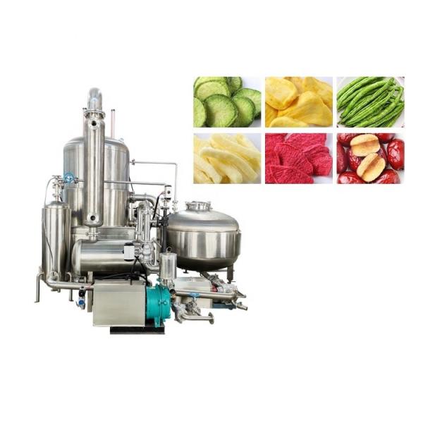 Capacidade máxima da gaiola 8kg Joyshine Carrot Chips Friter de vácuo com capacidade de 6L