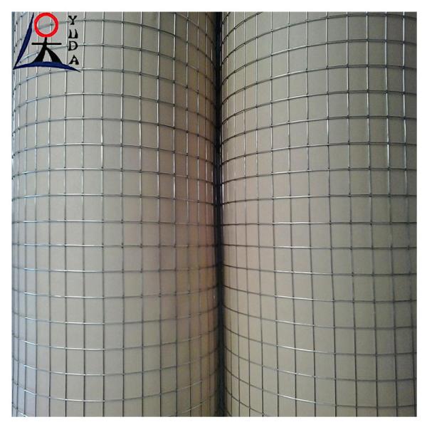 Galvanized Welded Wire Mesh Fence Roll 2x2 Fine Wire Diameter