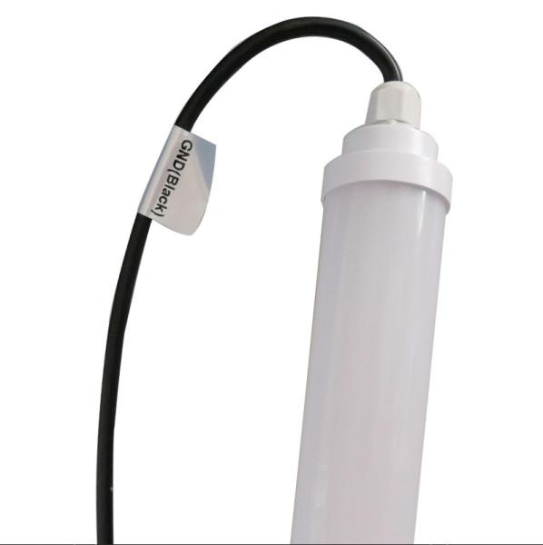 DC12V LED Poultry Lighting 5ft Fluorescent Light Fitting High Safety