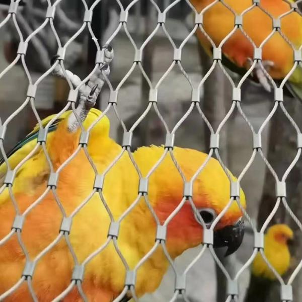 Коррозионностойкая сеть ячеистой сети веревочки провода Айси 316 как сеть безопасностью балюстрады