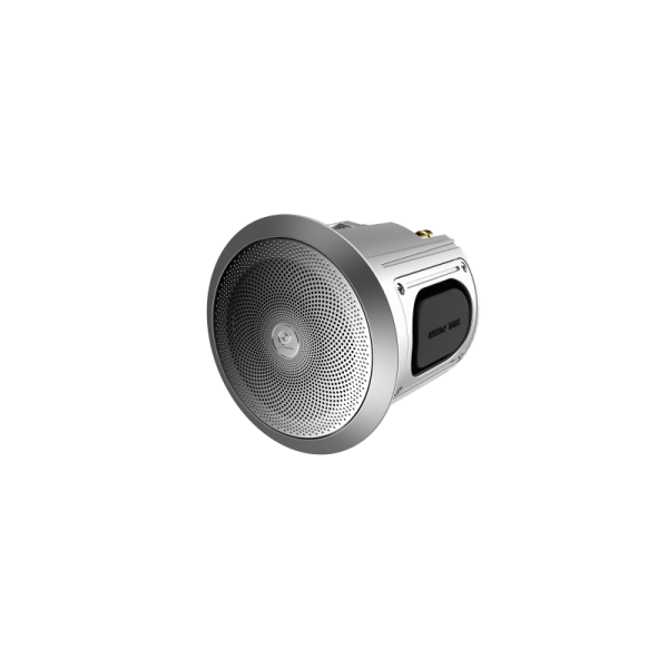 IW3mini-S10D 5.1 Concealed Cinema | 160W | 1000W Dual 10