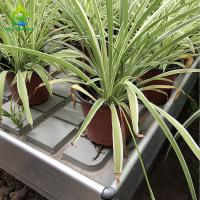 ABS Panel Ebb Flow Tray Medical Plants Greenhouse Rolling Benches Single Layer
