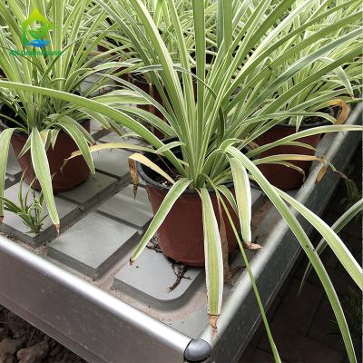 ABS Panel Ebb Flow Tray Medical Plants Greenhouse Rolling Benches Single Layer