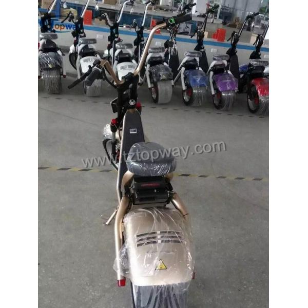 Popular Halley Electric Scooter 1000W 60V Fat Tyre Citycoco