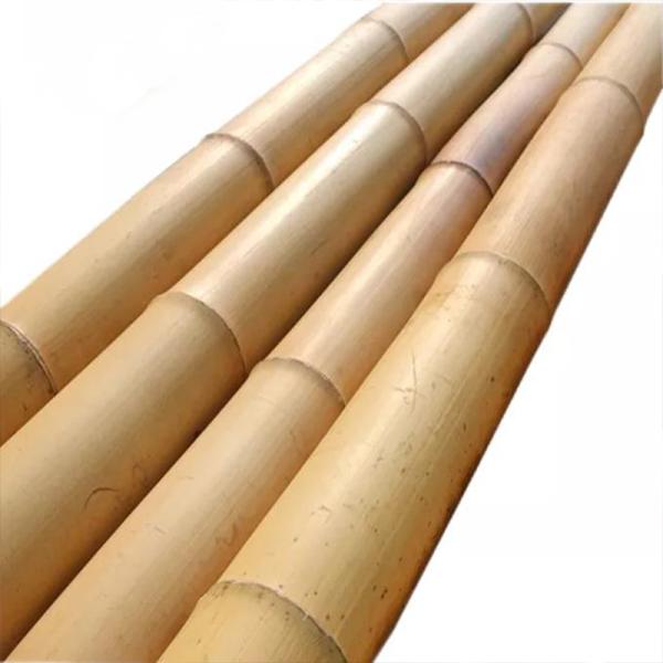 595cm Long Moso Bamboo Pole Eco-friendly Straight and Sturdy Bamboo Raw Material for Garden Construction