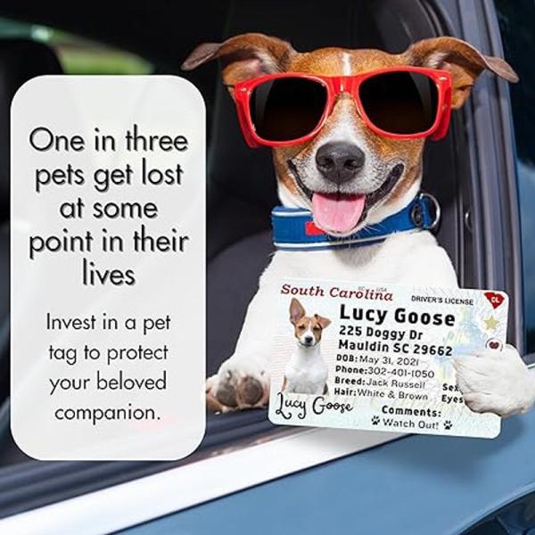 Etiqueta de perro de MDF de sublimación personalizada en blanco Identificación de tarjeta anti-pérdida Transferencia de calor en blanco Etiqueta de licencia de PET para mascotas