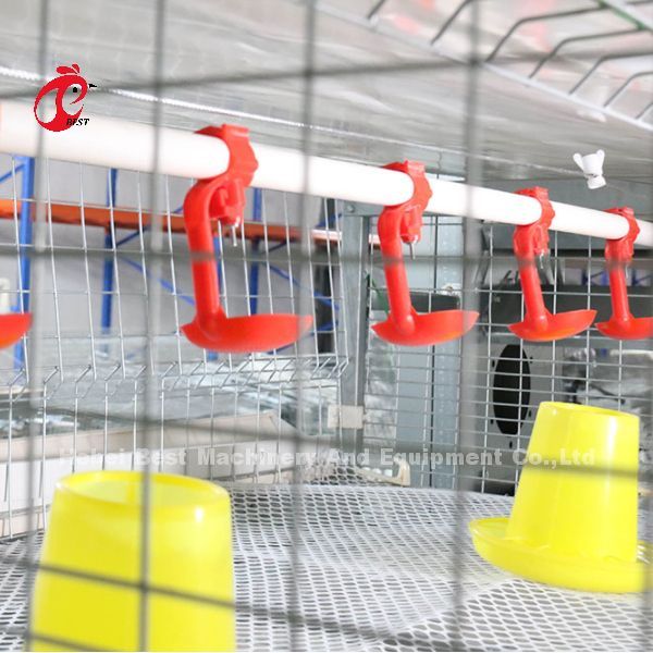 sistema de la jaula de la avicultura 432cm2, sistema automático de acero Rose de la jaula de la capa