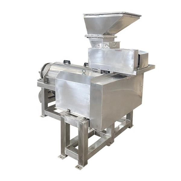 industrial cold press screw coconut milk extractor fruit juice juicer extractor machine Industrial Juicer