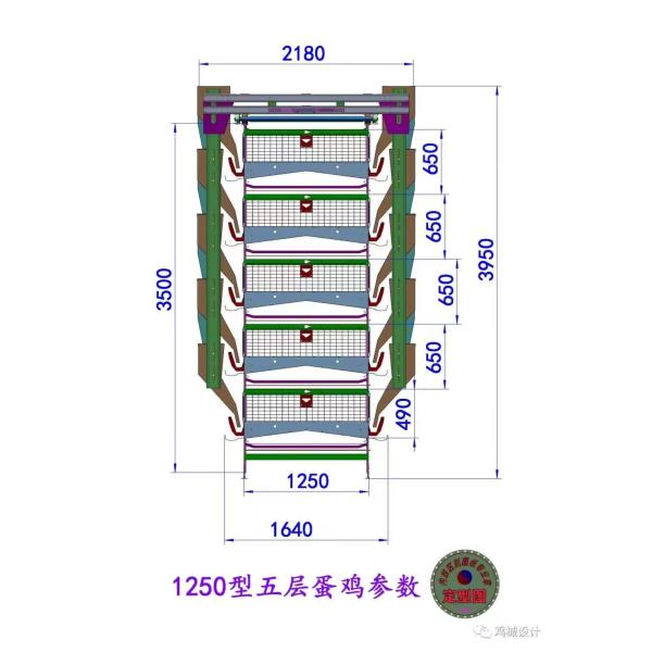144 Птицы полная автоматическая птица батарейная клетка Куриные яйца слой клетка