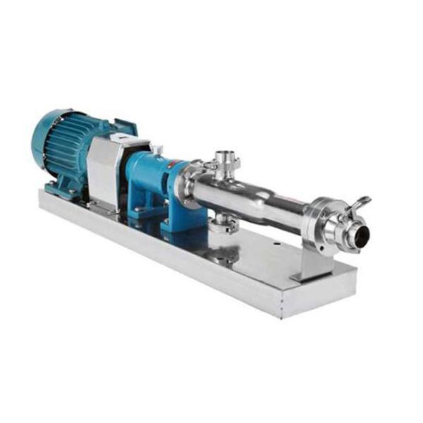 Sanitary Screw Pump Mechanical Seal Hygienic Screw Pump With VFD Frequency Inverter
