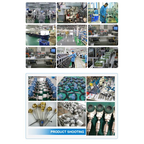 DS18B20 Digital Temperature Sensor