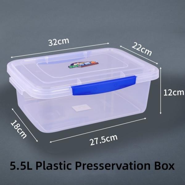 Simple Style Refrigerator Plastic Box for Clear Vegetable and Fruit Storage US Currency