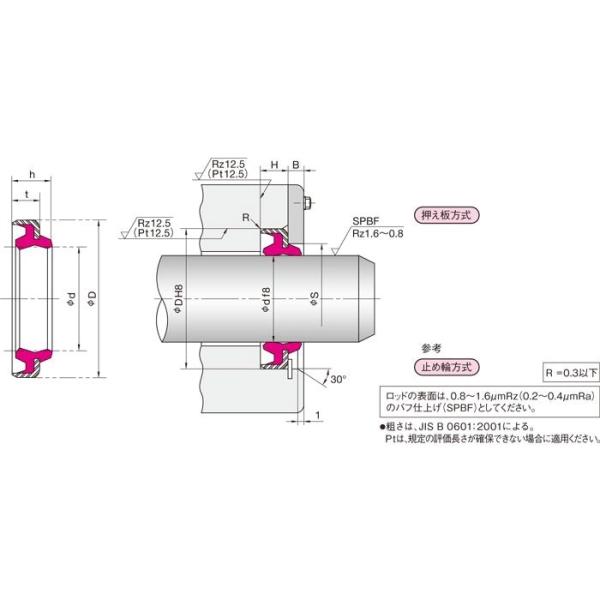 Sello de polvo DKBI cilindro hidráulico industrial Sello de aceite de doble labio para maquinaria de construcción Mejorar la eficiencia del combustible con sellos
