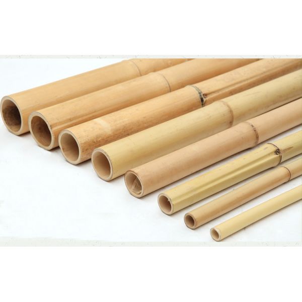 Natural Bamboo Color Moso Bamboo Poles for Planting Support – Premium Garden & Farm Stakes