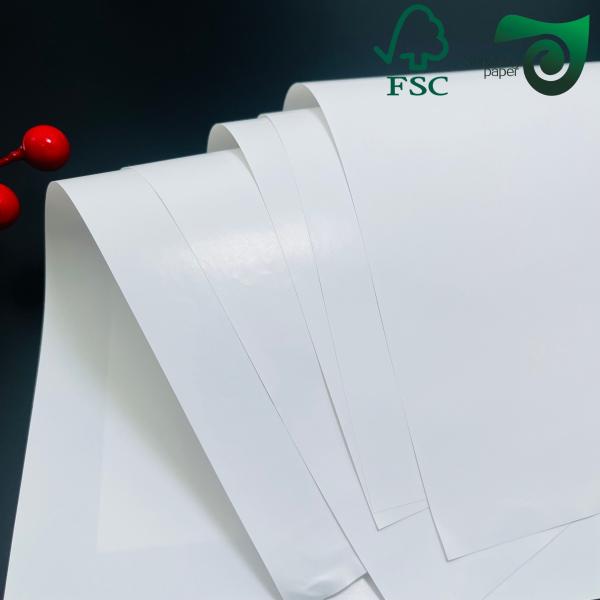 High Quality Double Sided Glossy Cardstock Ideal for Premium Printing Projects