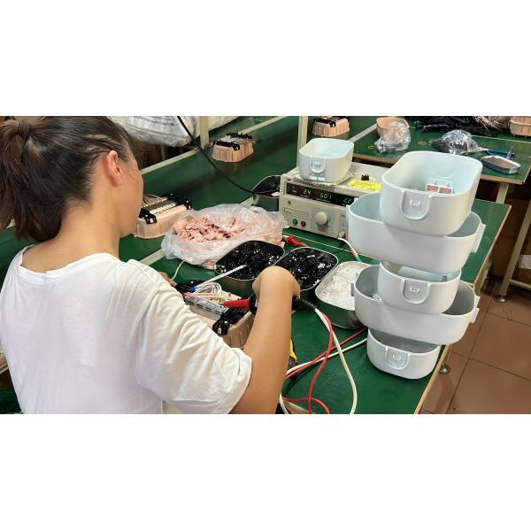 Zhongshan IPS Electric Factory