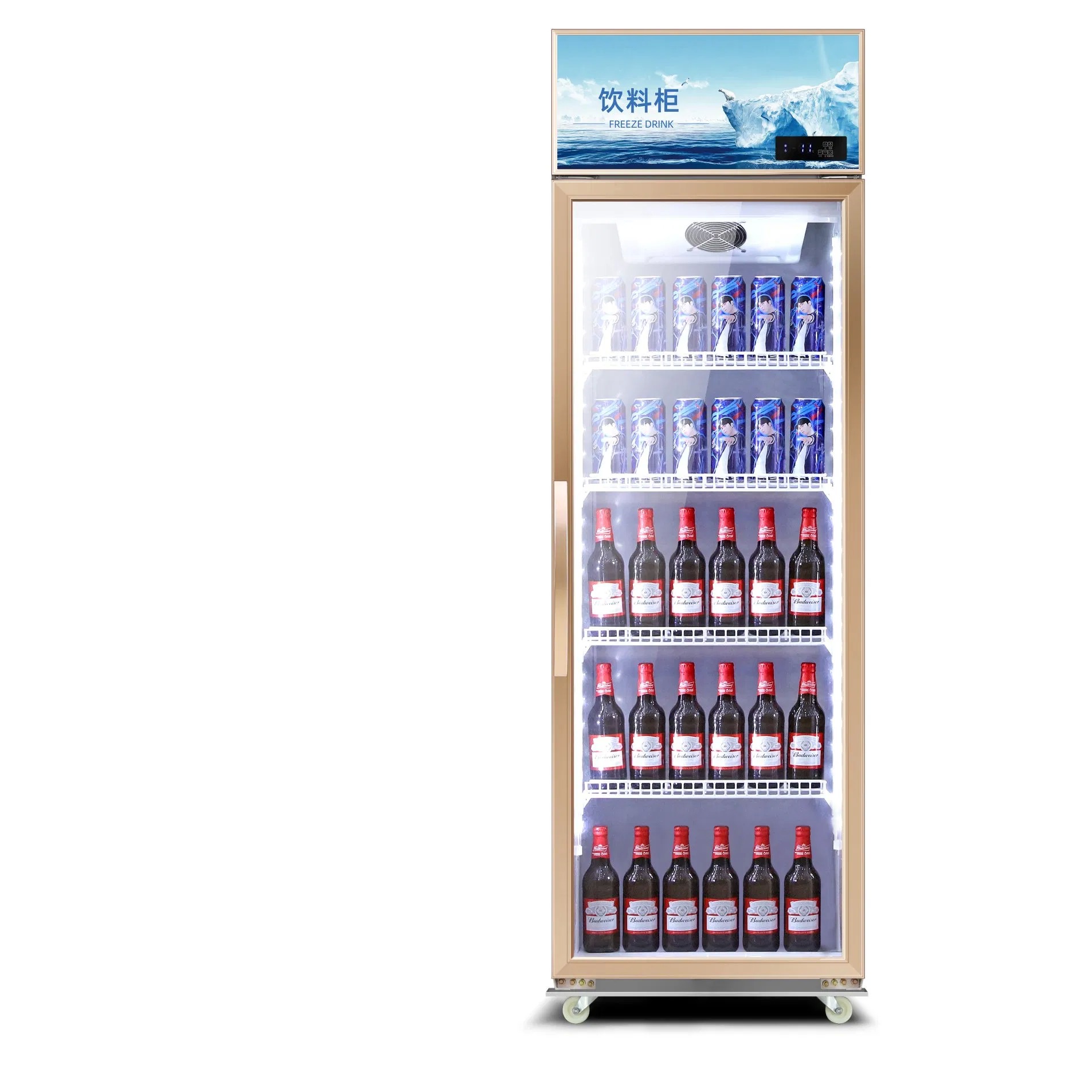400L Convenience Store Display Cooler CE Certified Single Door Upright Freezer 265W