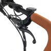3 Wheel E-Cargo Bike with Steel Box for Family and Dog-Friendly Transportation