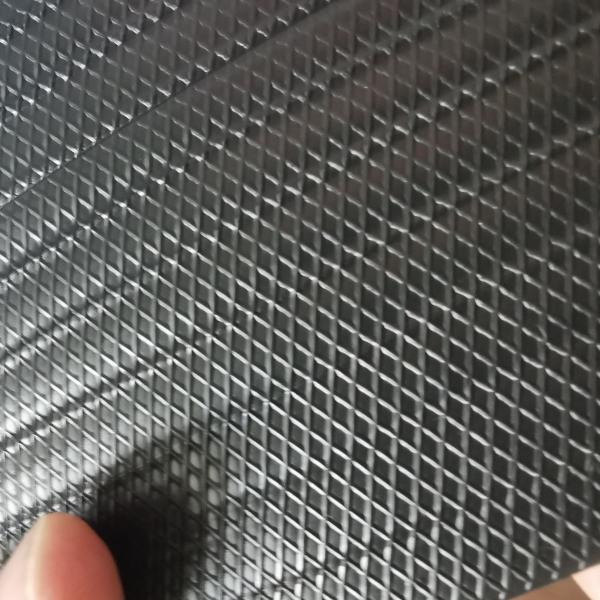 Ligne de production de bandes géo recouvertes de plastique avec machine d'extrudeuse à vis de 90 mm de diamètre