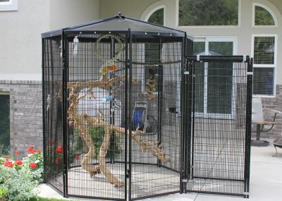 Outdoor Aviary Cages 5' X 8' Sectional Bird Cages Cages by Design