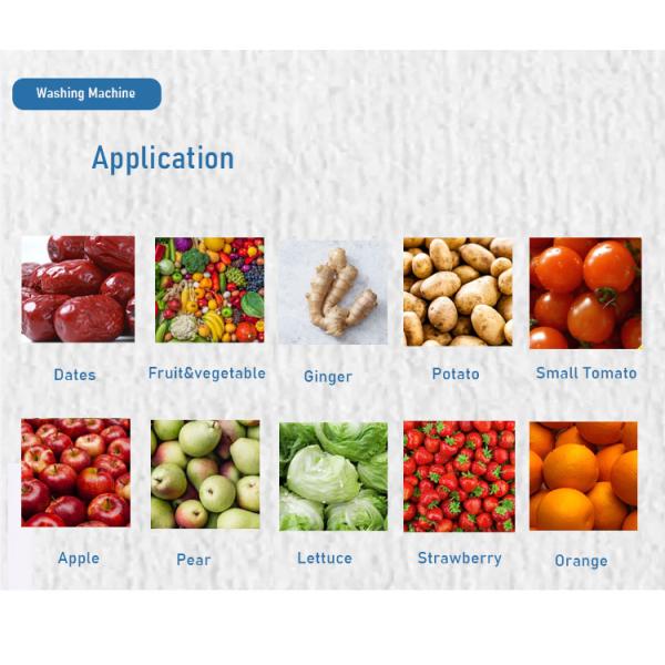 Industrial Water Cycle Vegetable And Fruit Washing Machine for Fruit Processing Plant