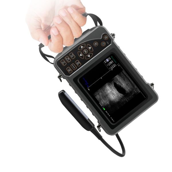 Yonker Portable Ultrasound Machine Ultrasound Machine for Animal/cattle Cow Horse Goat Use Veterinary Instrument