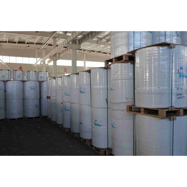 BPA Free Focus Brand Thermal Paper High Smoothness Suitable Optical Density 100% Imported Wood Pulp